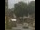 Webcam in Seiffen, 9.5 mi away