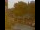 Webcam in Seiffen, 0.1 mi away