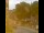 Webcam in Seiffen, 24.9 km entfernt