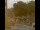 Webcam in Seiffen, 0.2 km