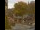 Webcam in Seiffen, 0.2 km