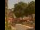 Webcam in Seiffen, 0.1 mi away