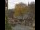 Webcam in Seiffen, 0.5 km