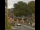Webcam in Seiffen, 0.5 km