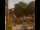 Webcam in Seiffen, 33.4 km entfernt