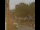 Webcam in Seiffen, 0.5 km
