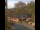 Webcam in Seiffen, 24.1 km entfernt