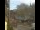 Webcam in Seiffen, 0.1 mi away