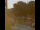 Webcam in Seiffen, 3.8 km entfernt
