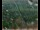 Webcam in Lauenau, 8.5 mi away