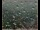 Webcam in Lauenau, 14 mi away