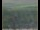 Webcam in Lauenau, 11.6 mi away