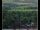 Webcam in Lauenau, 7.8 mi away