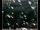 Webcam in Lauenau, 5.7 mi away