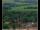Webcam in Lauenau, 11.8 mi away