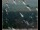 Webcam in Lauenau, 11.6 mi away