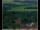 Webcam in Lauenau, 7.8 mi away