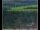 Webcam in Lauenau, 7.8 mi away