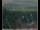 Webcam in Lauenau, 30.2 km