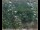 Webcam in Lauenau, 30.2 km