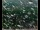 Webcam in Lauenau, 11.6 mi away