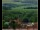 Webcam in Lauenau, 10.5 mi away