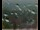 Webcam in Lauenau, 11.6 mi away
