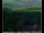 Webcam in Lauenau, 9.3 mi away