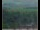 Webcam in Lauenau, 7.8 mi away