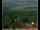 Webcam in Lauenau, 11.6 mi away
