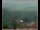 Webcam in Lauenau, 21.8 km