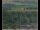 Webcam in Lauenau, 10.5 mi away