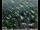 Webcam in Lauenau, 7.8 mi away