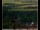 Webcam in Lauenau, 11.8 mi away