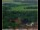 Webcam in Lauenau, 30.2 km