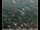 Webcam in Lauenau, 11.6 mi away