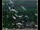 Webcam in Lauenau, 27.2 km