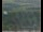 Webcam in Lauenau, 11.6 mi away