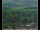 Webcam in Lauenau, 9.3 mi away