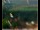 Webcam in Lauenau, 20.2 km entfernt