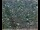 Webcam in Lauenau, 7 mi away