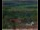 Webcam in Lauenau, 30.2 km