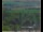 Webcam in Lauenau, 7 mi away