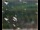 Webcam in Lauenau, 30.2 km