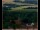 Webcam in Lauenau, 9.1 km entfernt