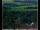 Webcam in Lauenau, 11.6 mi away