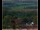 Webcam in Lauenau, 9.3 mi away