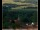 Webcam in Lauenau, 42 km