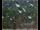 Webcam in Lauenau, 20.2 km entfernt