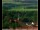Webcam in Lauenau, 8.5 mi away